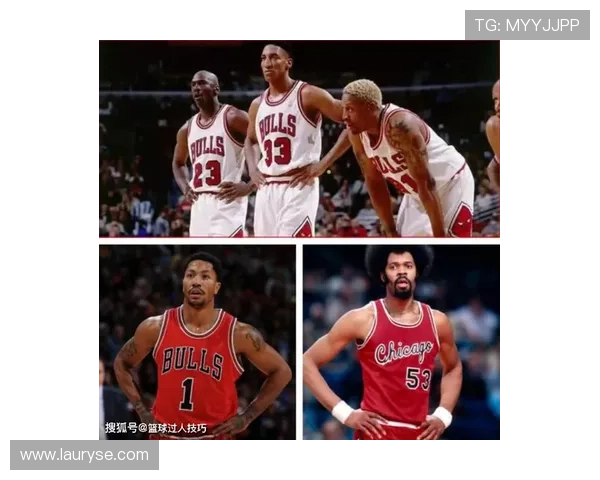 公牛队战力波动与真实命中率模型分析及其影响因素探讨