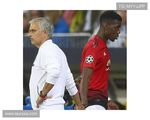 转会费高能表现震撼教练组或成主力核心未来可期