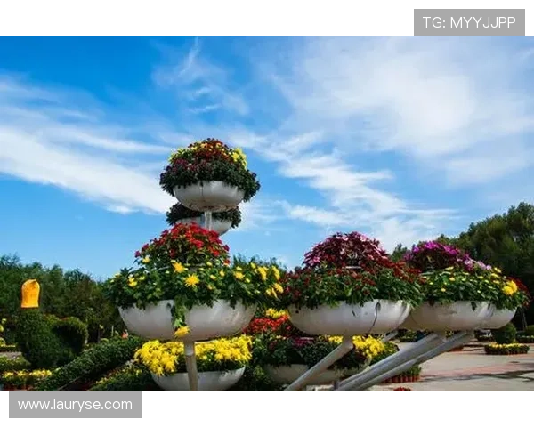 云鼎娱乐场带你体验全新娱乐盛宴尽享豪华博彩与极致服务